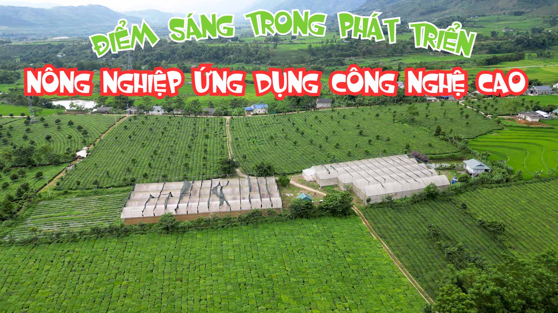 Điểm sáng trong phát triển nông nghiệp ứng dụng công nghệ cao