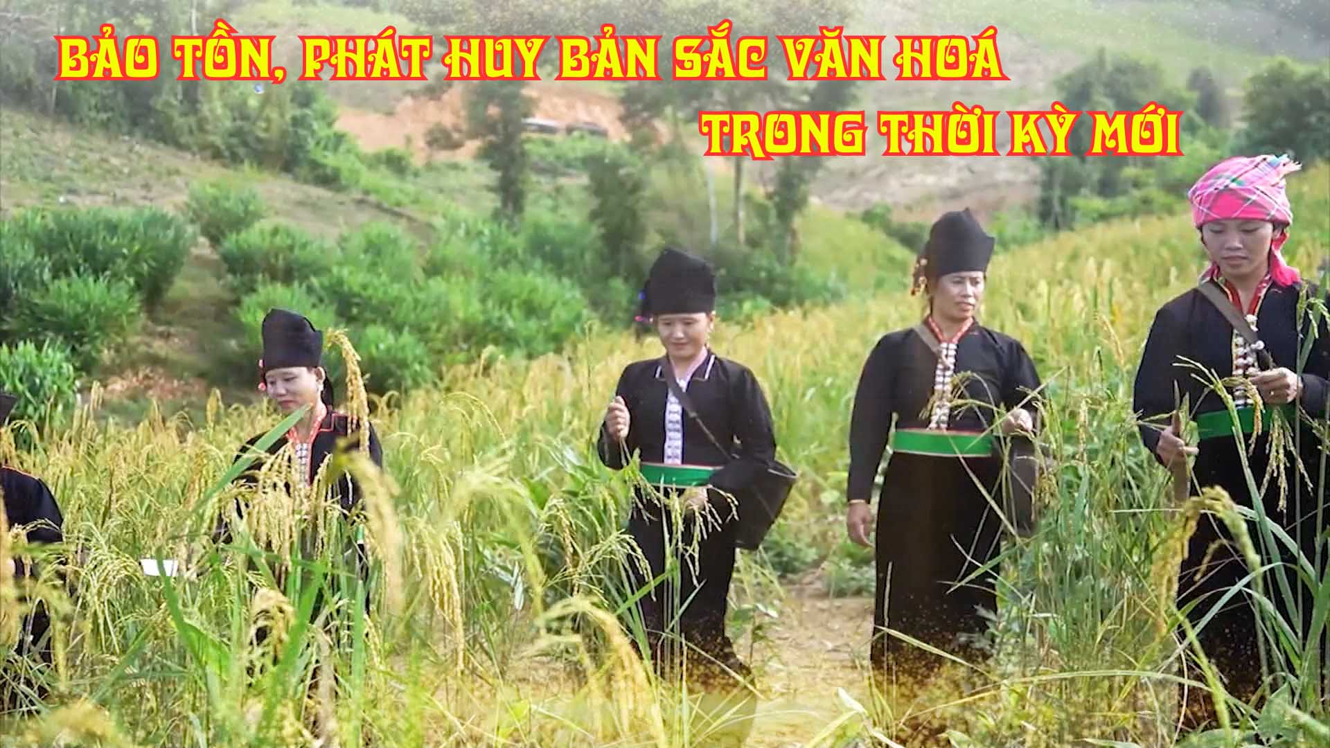 Bảo tồn, phát huy bản sắc văn hoá trong thời kỳ mới