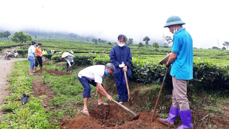 Lãnh đạo và Nhân dân xã Phúc Khoa trồng cây xanh tại đường vành đai khu du lịch sinh thái vùng nguyên liệu chè của xã. 