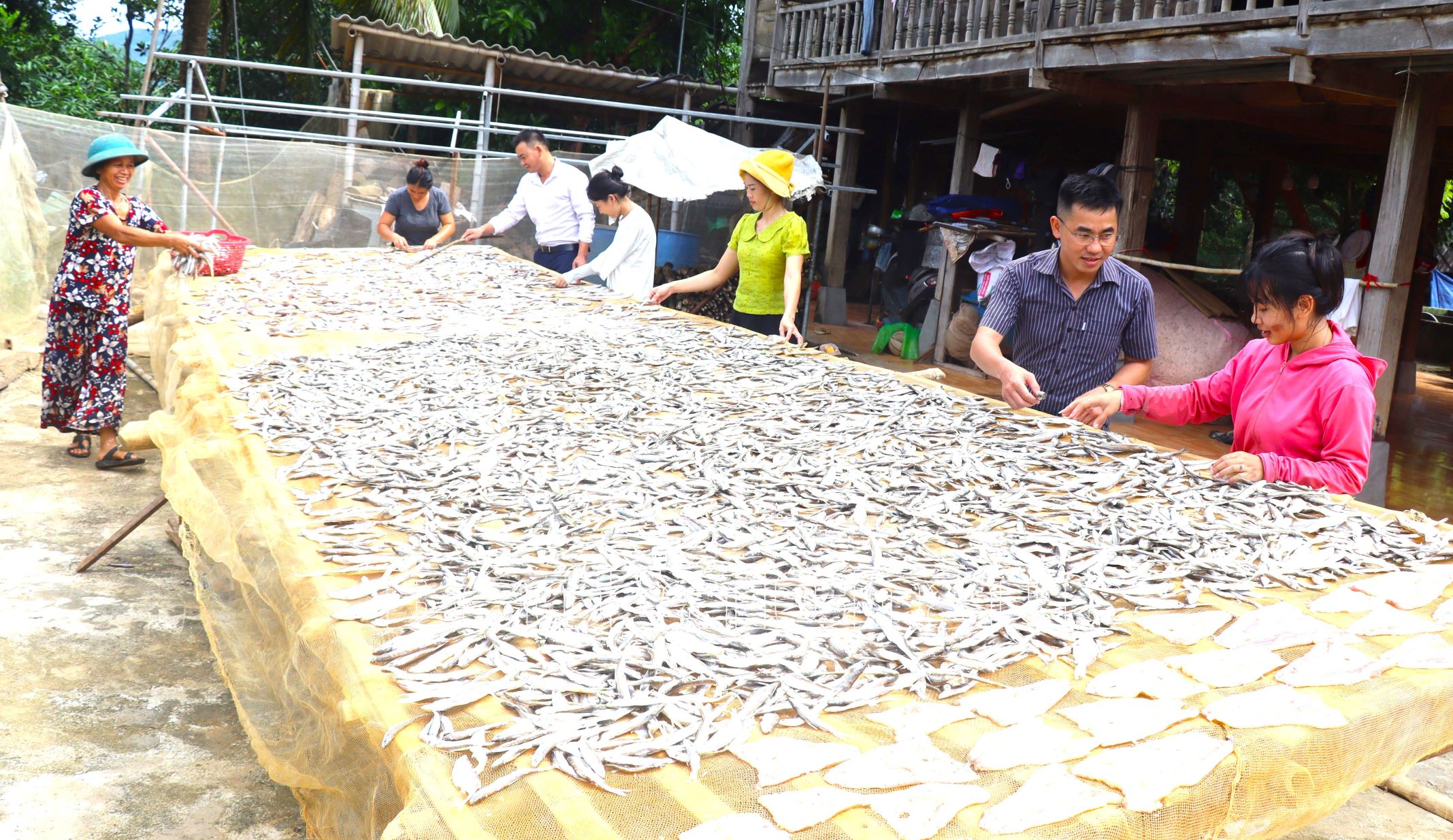 Lãnh đạo Đảng uỷ, UBND xã Nậm Mạ (huyện Sìn Hồ) giúp người dân bản Sông Đà phơi cá sau vụ thu hoạch.