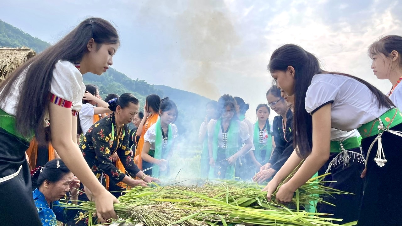 Những bông lúa được lựa chọn kỹ lưỡng, nướng thơm trước khi giã cốm.